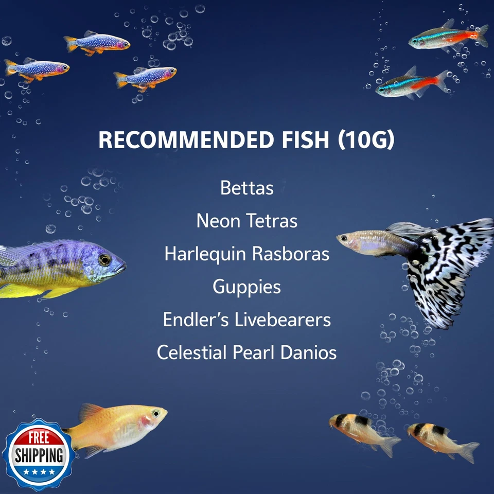 Aqueon 10 Gallon Aquarium Starter Kit with SmartClean Filtration and LED Ligh - Image 4 of 4