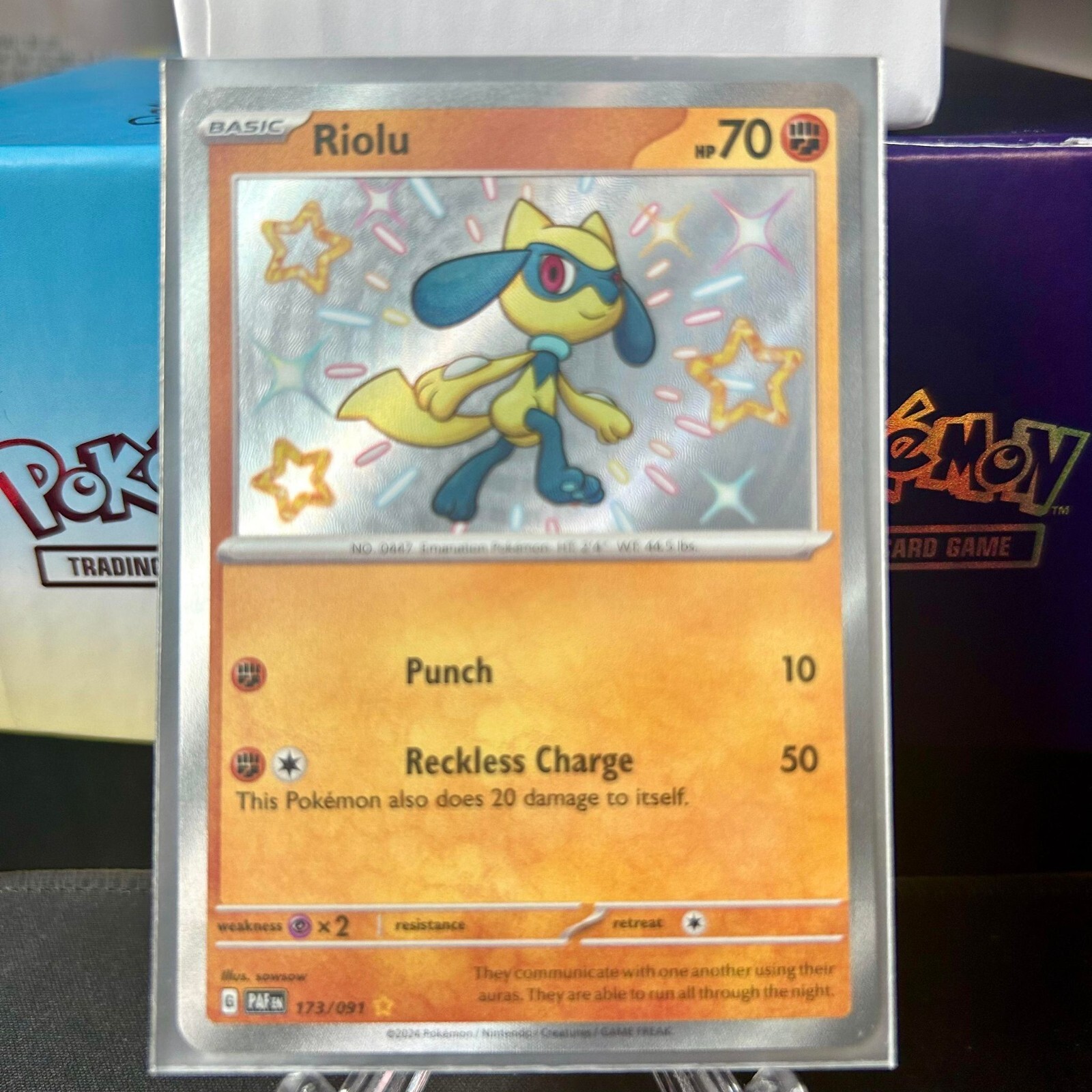 Pokémon TCG Riolu 173/091 Scarlet & Violet Paldean Fates Shiny Holo Rare LP