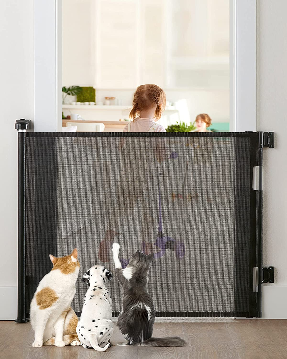 mesh cat gate