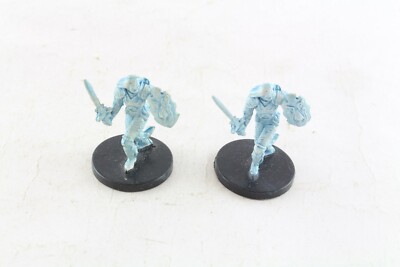 D&D Miniatures Sacred Watcher x 2 Dungeons & Dragons
