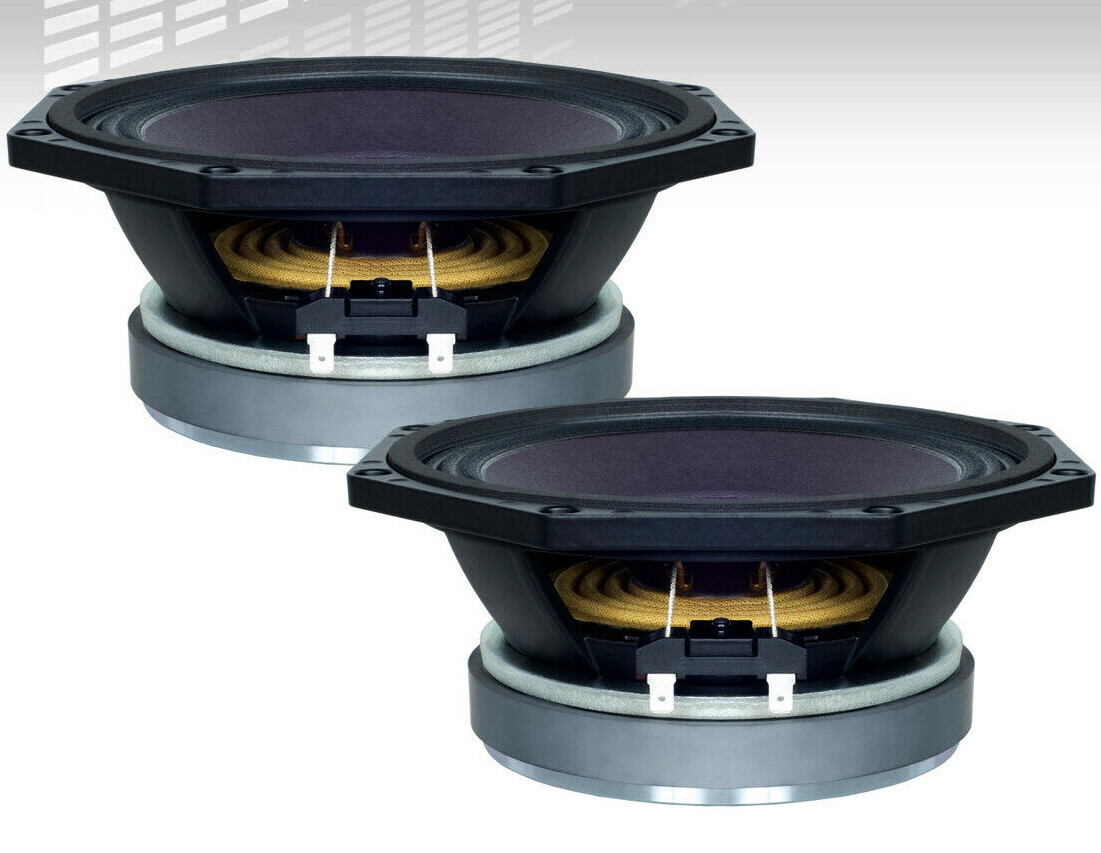 B & C SPEAKERS 8PE21-8 20センチユニット　動作品ペア 8PE21 8Ω - LF Drivers - B&C Speakers