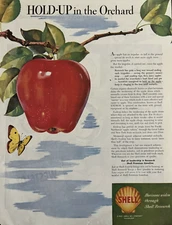 1947 Shell Oil Company Horizons Widen Research Orchard Apple Trees VTG Print Ad