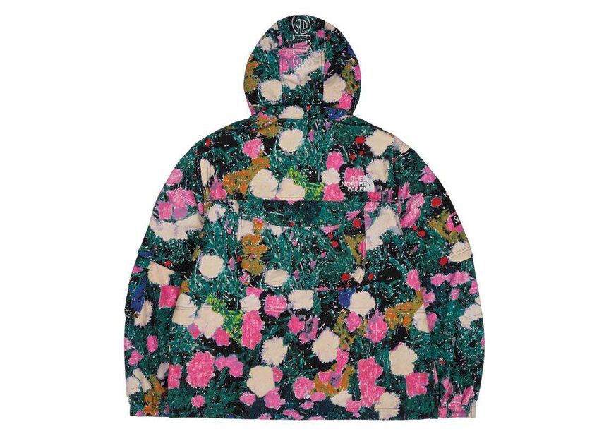 NP02205I Supreme The North Face Trekking Convertible Jacket