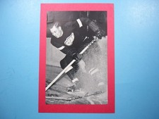 1934/43 BEEHIVE CORN SYRUP GROUP 1 HOCKEY PHOTO MODERE MUD BRUNETEAU BEE HIVE