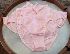 Set of 4 Rhonda Shear Wear Blush Pink Everyday Seamless Ahh Brief Panties M New