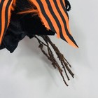 Bild 9 von 10