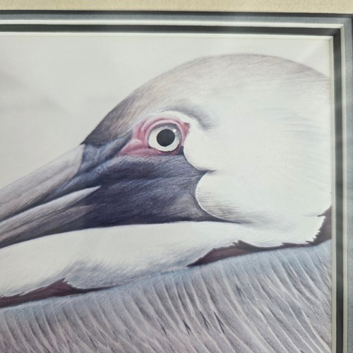 Original Drawing Brown Pelican Bird Beach Framed Art Watercolor Artist Signed - Picture 4 of 8