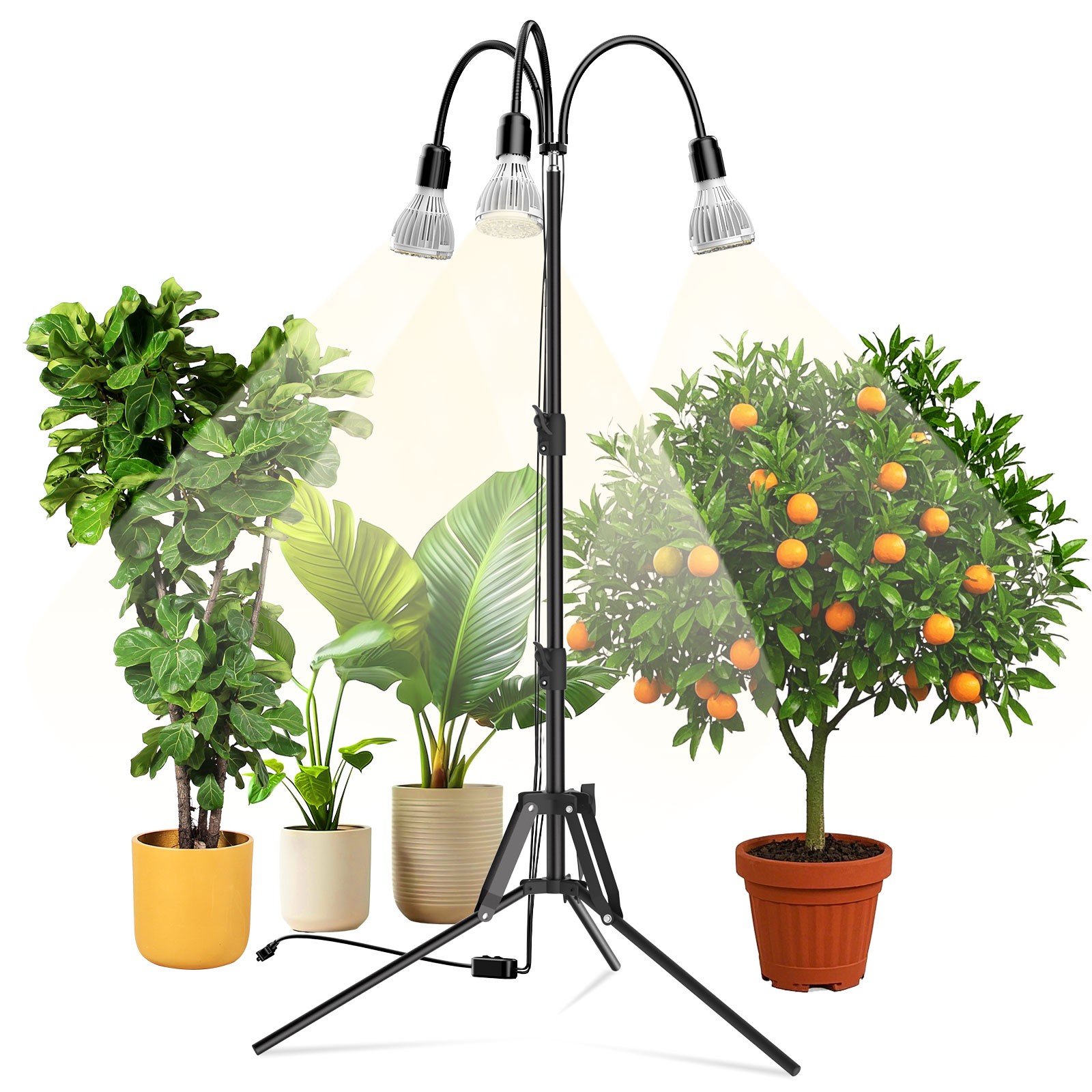 Full Spectrum Adjustable Tripod Stand W/replaceable Led Bulb