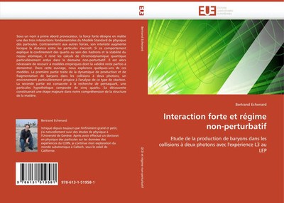 Bertrand Echenard | Interaction forte et régime non-perturbatif | Taschenbuch