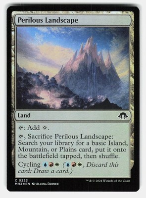 PERILOUS LANDSCAPE FOIL - Magic: The Gathering - Danner NM/M