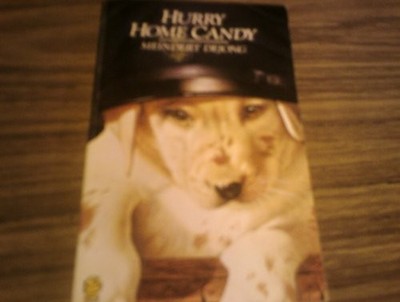 Hurry Home, Candy (Lions), Meindert DeJong, Used; Very Good Book