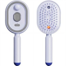 Electric Steam Brush for Hair, Electric Spray Air Cushion Comb for Women