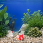 Bild 3 von 12