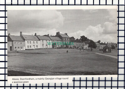 C6928) Stamfordham - 1969 Steckling