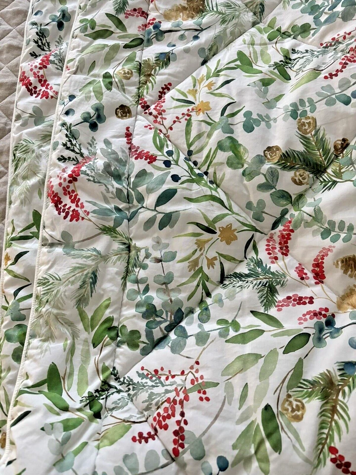 Pottery Barn Birthday comforter bed cover holiday  party Queen thanksgiving . - Image 4 of 4