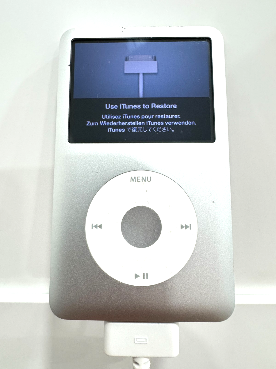 Apple iPod Classic silver A1238 160 GB | eBay
