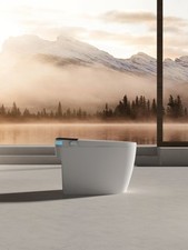 Smart Toilets with Heated Bidet Seat,Portable toilet with bidet built,Versatile