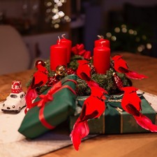 YCHTEWY-Cardinal Clip On Christmas Tree Ornament Decorations - Red Feathers Set