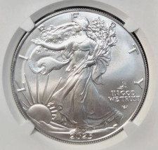 2025 1 Oz American Eagle Bu