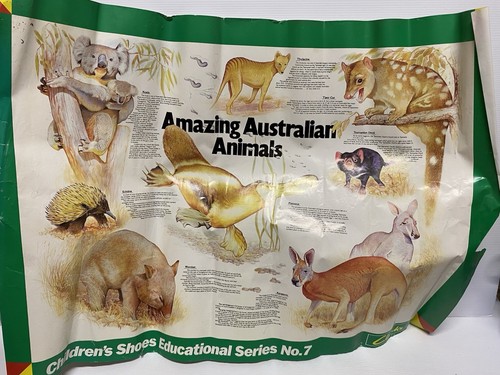 Clarks Amazing Australian Animals Poster Wildlife Natures Series No 7 Vintage