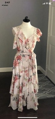 NWT JOIE CRISTETA SILK DRESS Rose Water WOMEN SIZE Medium $540 Asymmetrical