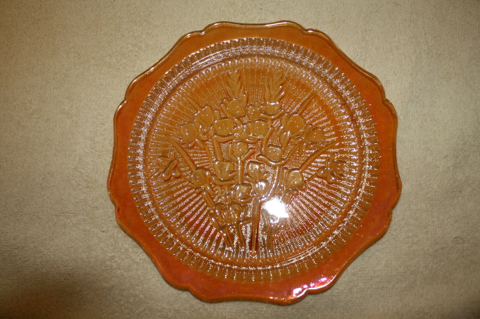 Picture 6 of 12