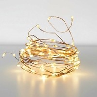 Draht Lichterkette 320 Led Warm Weiß - 32 M - Leuchtdraht AußEn Deko Weihnachten