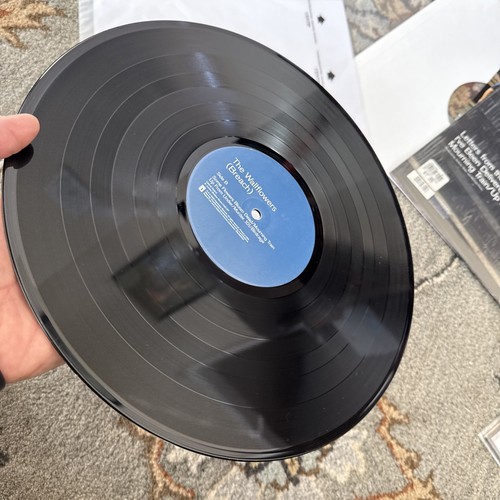 The Wallflowers, Breach, Original Analog, Jacob Dylan Schallplatte Vinyl, Top - Bild 12 von 12