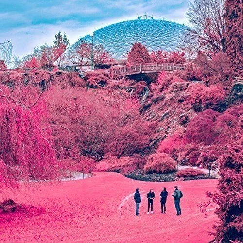 ZOLAS - SWOONER (CANADA) NEW CD - Picture 1 of 1