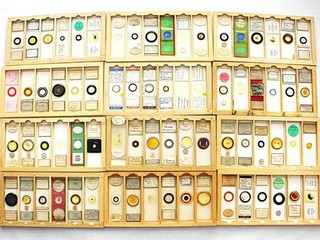 Pine Box of 72 Antique/Vintage Microscope Slides. Good Professional Preparers.