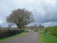 Photo 6x4 Osbaston Lane near Muckleton Ellerdine  c2008