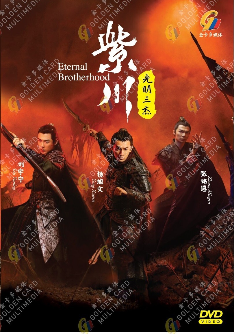 DVD Chinese Drama Eternal Brotherhood Vol.1-24 End (2024