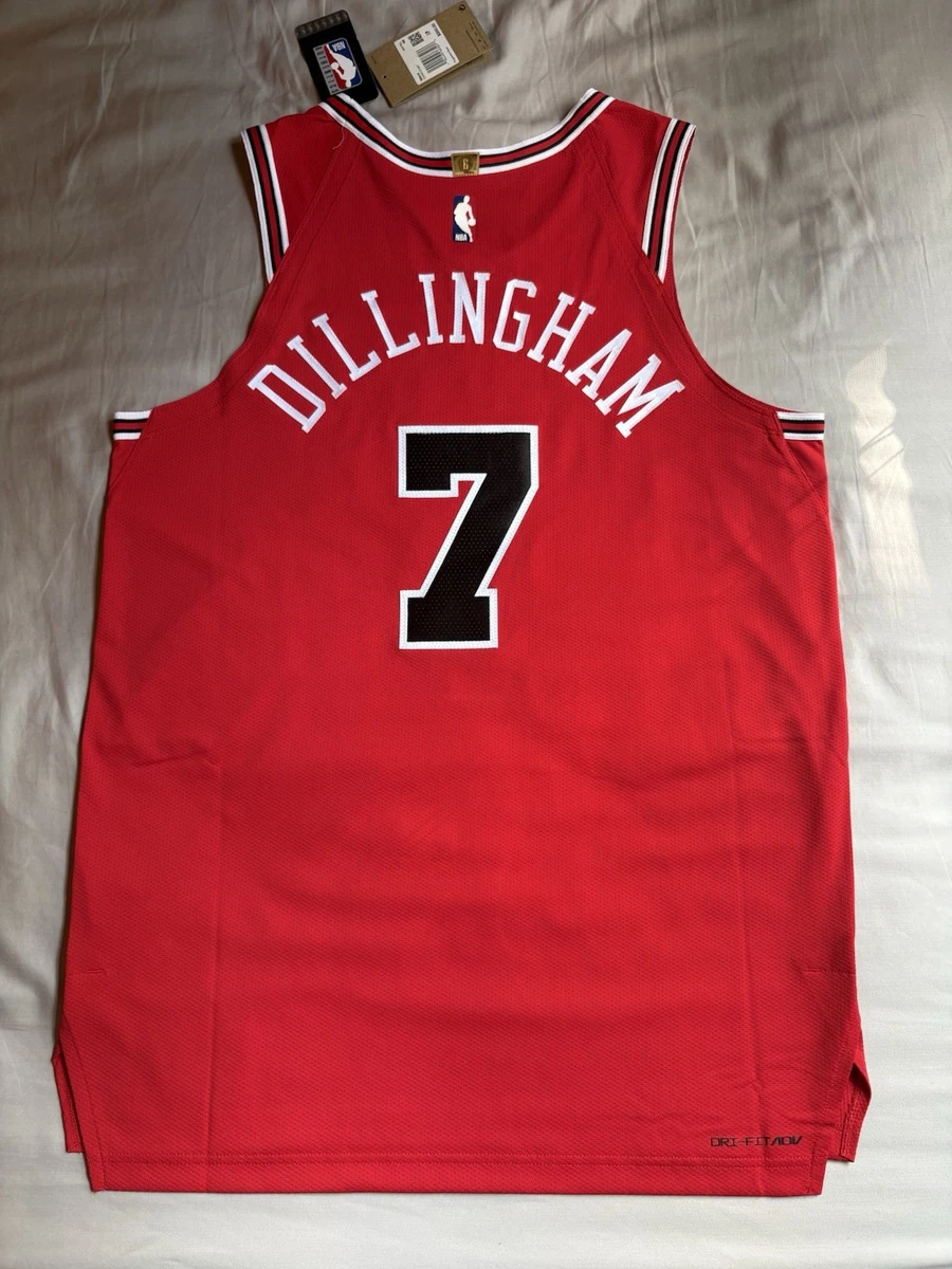 25+ Nike Chicago Bulls NBA Jerseys for sale | Updated Oct 2026