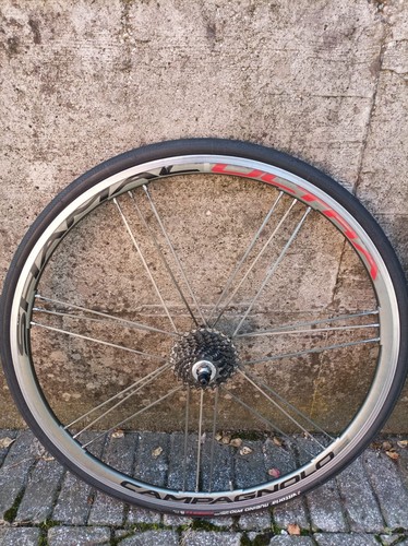 Campagnolo Shamal Ultra road bike aluminum wheels clincher 10s carbon hubs RARE! - Imagen 2 de 10