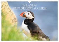 Iceland's Puffins (Wall Calendar 2027 DIN A3 Landscape), Calvendo 12 Month Wall