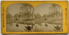 Francia Mucca All'Abbeveratoio C1870 Foto J. M. A Parigi Stereo Vintage