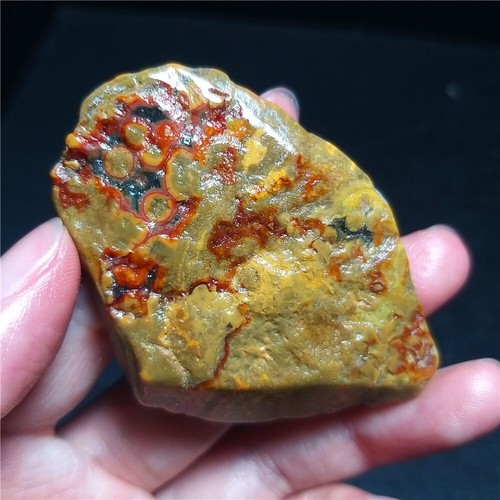 Rare 23G Natural Orbicular Ocean Jasper Rough Stone Healing Madagascar QT60 - Picture 3 of 16