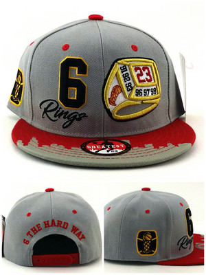 jordan 6 rings hat