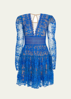 BRONX AND BANCO Megan Floral-Embroidered Lace Mini Dress Cobalt Medium NWT  | eBay