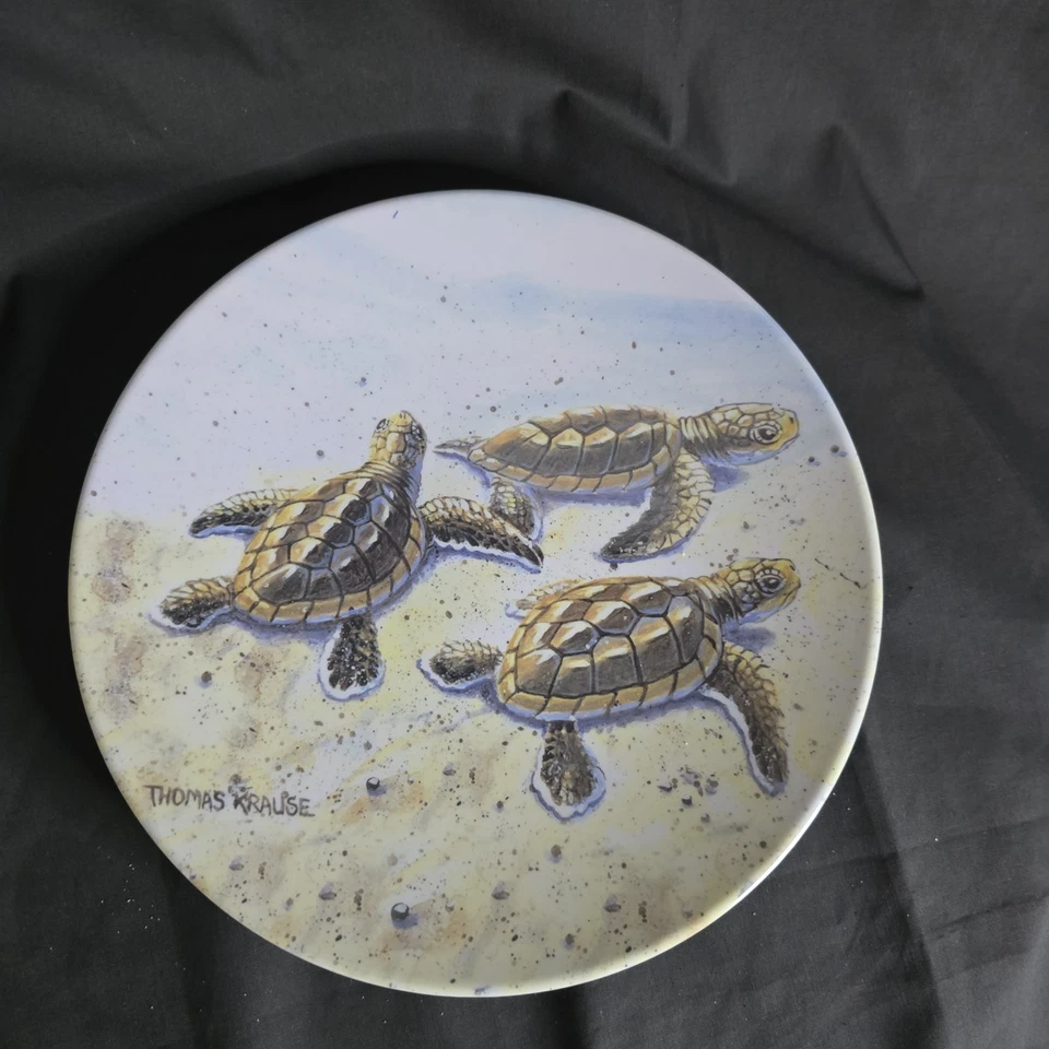 Conjunto de 8 pratos de jantar de melamina tartaruga marinha 9" Thomas Krause praia costeira náutica - Imagem 2 de 4