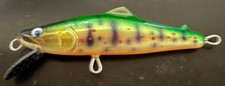 Rei's x STAY GOLD Collaboration Minnow