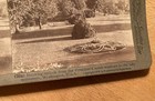 Picture 13 of 13