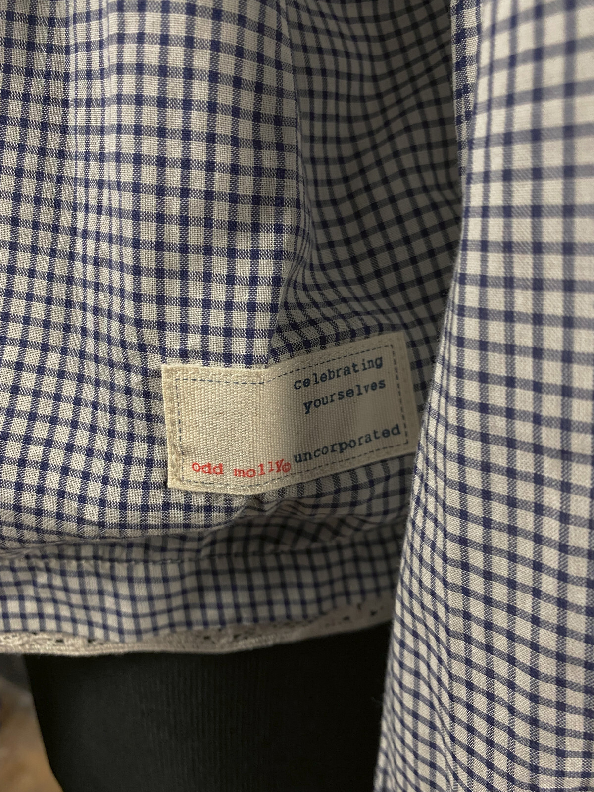 Odd Molly Women Blue White Check Long Sleeve Blouse Top T-Shirt Pullover Size 0