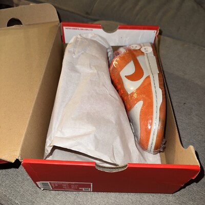 Size 8.5 - Nike Dunk Low Cracked Orange W