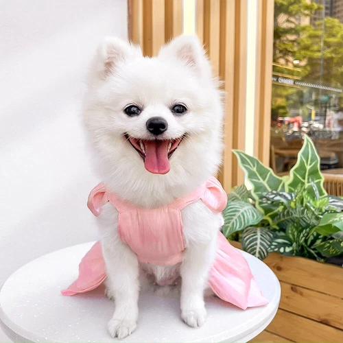 Pet Clothes Dog Princess Wedding Dress Tutu Big Bow Glossy Dress Cat Puppy Skirt - Picture 17 of 32