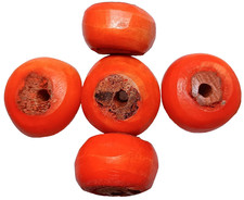 Beads, Set of 5 Pcs, Buffalo Bone, African, 15 x 23 mm, Golden Orange, 3mm Holes