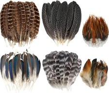 60pcs Natural Turkey Feathers, Pheasant Spott...