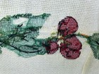 Picture 11 of 12