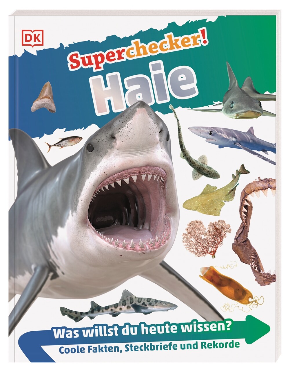 Thumbnail - Unbekannt. / Superchecker Haie