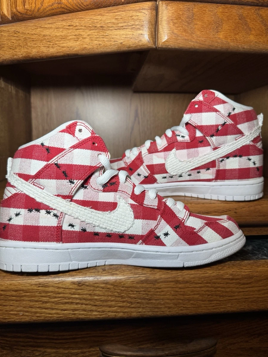 Nike Dunk Pro SB High Picnic | eBay